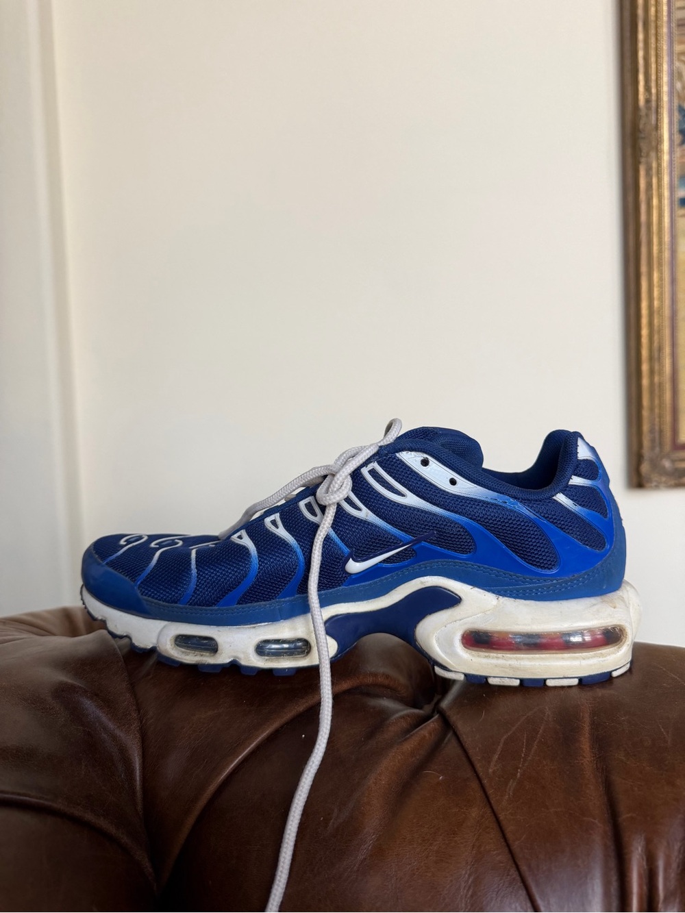 Nike Air Max Plus TN Arctic Chill Men’s Size 8 Royal Blue White - Picture 5 of 12